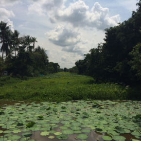 カンボジア　遺跡（廃墟）めぐりの旅②　Beng Mealea